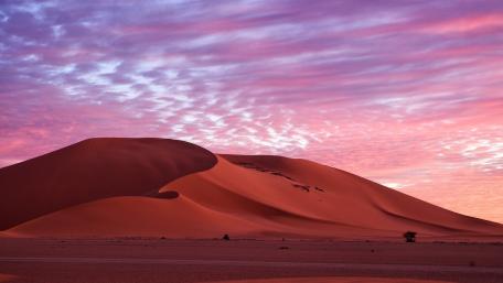 Serenity of the Desert at Dusk wallpaper
