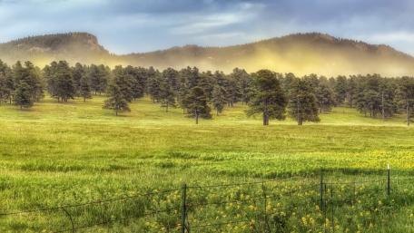 Majestic Misty Fields of Nature wallpaper