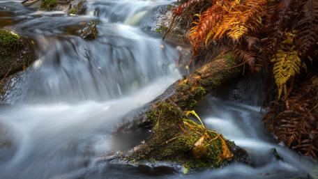Tranquil Cascading Waters in Nature's Embrace wallpaper