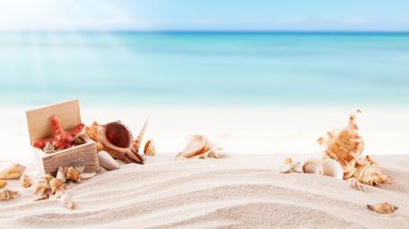 Serene Beach Treasures Captured in Blissful Summer Vibes wallpaper