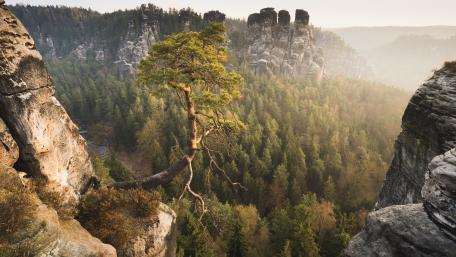 Saxon Switzerland National Park wallpaper