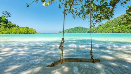 Tropical Beach Swing Blissful Serenity wallpaper
