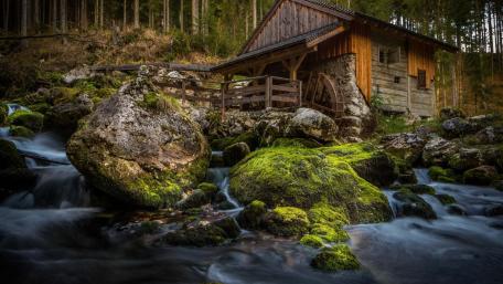 Serene Watermill by the River wallpaper