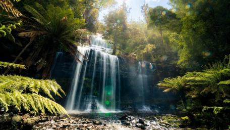 Russell Falls wallpaper