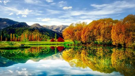 Vibrant Autumn Reflections in Nature wallpaper