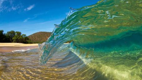 Majestic Sea Splendor wallpaper
