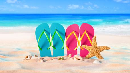 Bright Summer Beach Vibes with Slippers and Starfish wallpaper