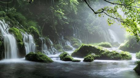 Tranquil Rainforest Waterfall Scene wallpaper