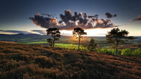 Tranquil Evening Landscape with Sunset Glow wallpaper