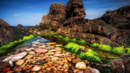 Tranquil Pebble-Laden Pond Scene wallpaper