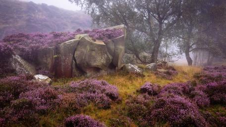 Purple Gorge, Peak District National Park wallpaper