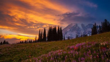 Majestic Sunset Over Mountain Meadows wallpaper