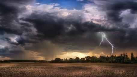 Stormy Skies Over Golden Fields wallpaper