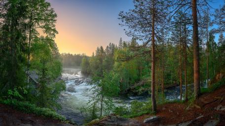 Spring Serenity by the Forest River wallpaper