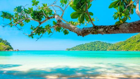 Tropical Escape Under a Blue Sky wallpaper