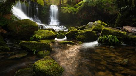Russell Falls, Tasmania wallpaper