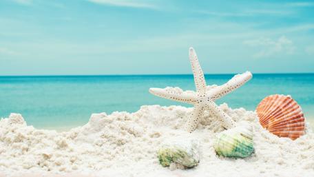 Serene Beach View with Starfish and Seashells wallpaper