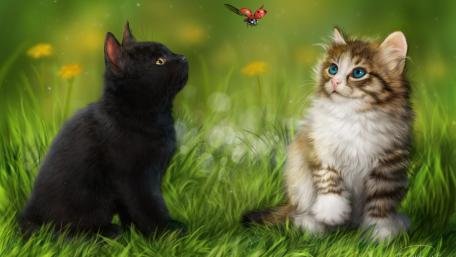 Curious Kittens and the Ladybird Adventure wallpaper