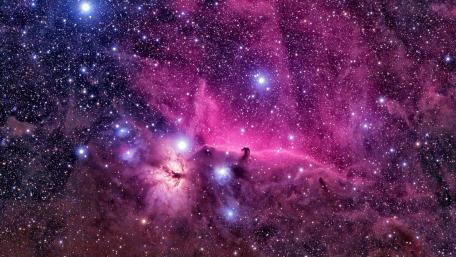 Celestial Dreams in Purple Hues wallpaper