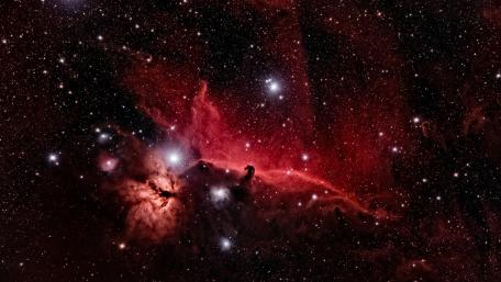 Celestial Beauty of the Horsehead Nebula wallpaper