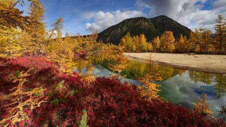 Golden Autumn Reflections in Nature's Palette wallpaper