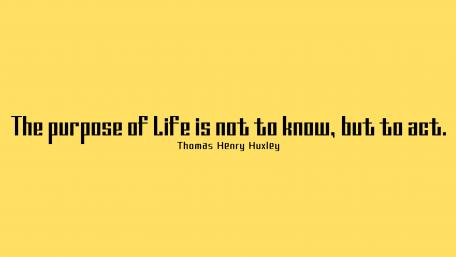The purpose of life wallpaper