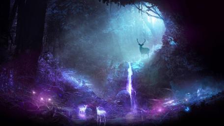 Enchanted Forest Dreams wallpaper
