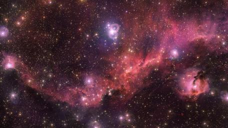 The Seagull Nebula wallpaper