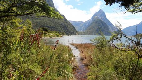 Milford Sound wallpaper