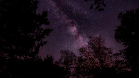 Whispers of the Night Sky in 4K wallpaper