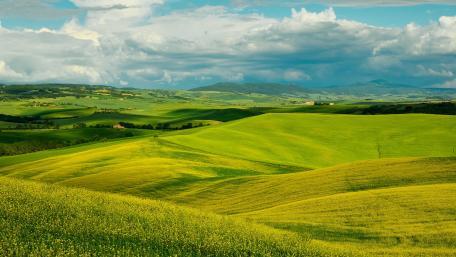 Vibrant Green Hills Under a Blue Sky wallpaper