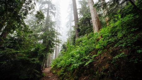 Snoqualmie Pass wallpaper