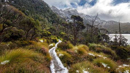 Scenic Pathway at Dove Lake in Cradle Mountain wallpaper