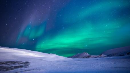 Enchanted Night Under the Northern Lights wallpaper