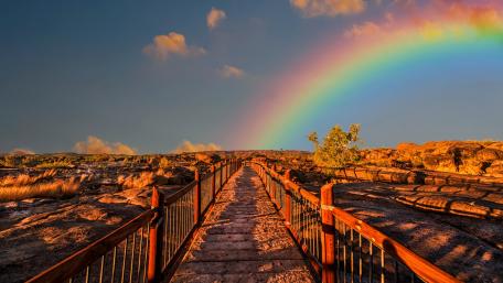 Colorful Rainbow Over Scenic Boardwalk Pathway wallpaper