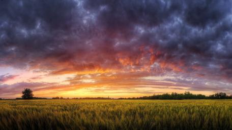 Majestic Sunrise Over a Cloudy Field wallpaper