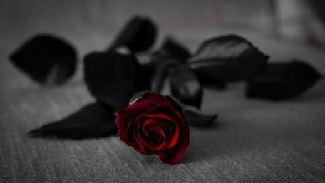 A Timeless Beauty in Red wallpaper