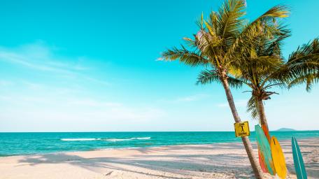 Tropical Paradise on a Sunny Beach Day wallpaper
