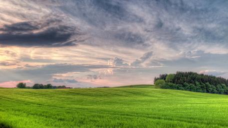 Vibrant Meadow Under a Dramatic Sky wallpaper