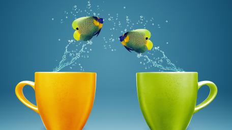 Fish Leaping from Cups in Vivid Splash Scene wallpaper