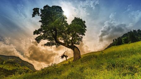 Whimsical Swing in Dreamlike Landscape wallpaper