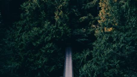 Bridge entering to a heaven wallpaper