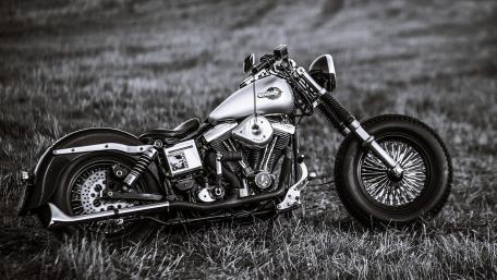 Harley-Davidson wallpaper