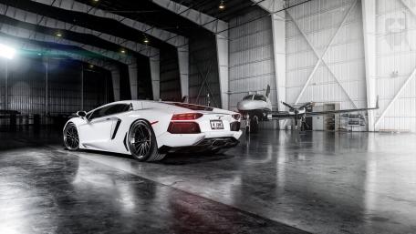 Lamborghini and White Cat in Hangar wallpaper