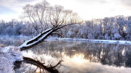 Winter Serenity by the Riverbank wallpaper