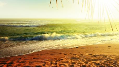 Sunlit Serenity on the Beach Shoreline wallpaper