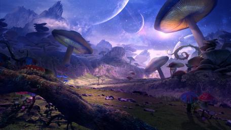 Mystical Mushroom Valley wallpaper