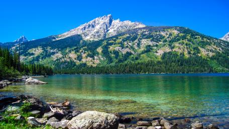 Grand Teton National Park wallpaper