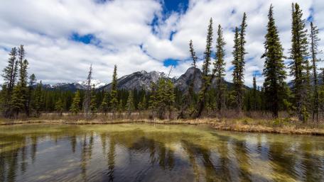 Serene Mountain Reflection in Nature's Embrace wallpaper
