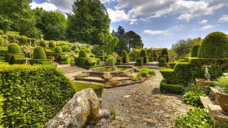 Tranquil Garden Oasis Awaits You wallpaper